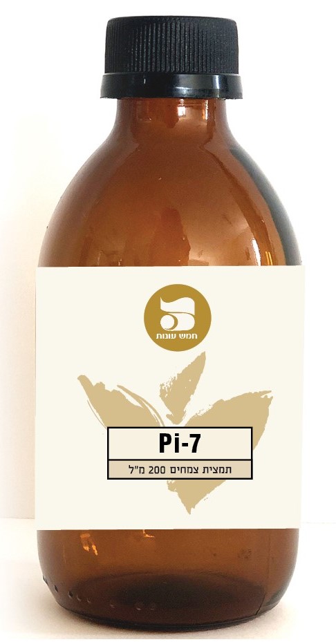 Pi-7